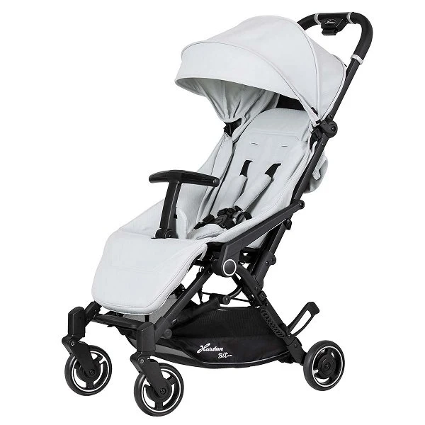 Hartan Bit Buggy Ice 2023 3 Hartan Bit Buggy Ice 2023