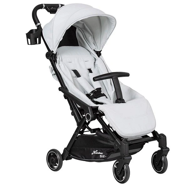 Hartan Bit Buggy Ice 2023 11 Hartan Bit Buggy Ice 2023 – Bild 9